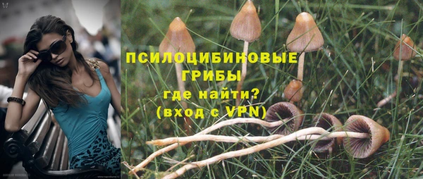 mdpv Майский